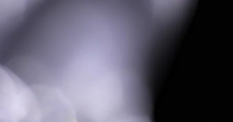 Transitions Pack of white Light Leaks. Lens glow flare bokeh overlays isolated Stock Footage 143467488