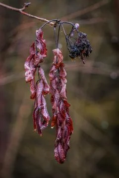 Transitory Stock Photos