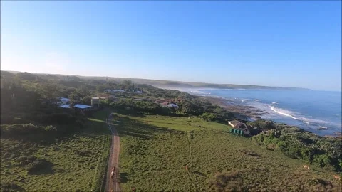 Transkei Seagulls HD 動画素材 284501151