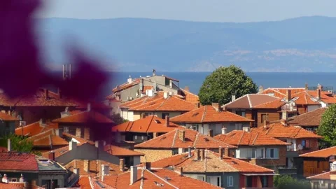 Translation of focus. Red flower. Tiled roofs of the resort town Sozopol, Bul Stock Footage 152345332