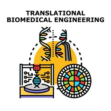 Translational biomedical engineering applying scientific research Stock Illustration
