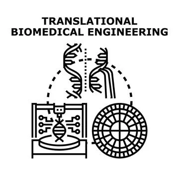 Translational biomedical engineering applying scientific research イラスト素材