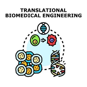 Translational biomedical engineering process and genetic research concept Stock Illustration