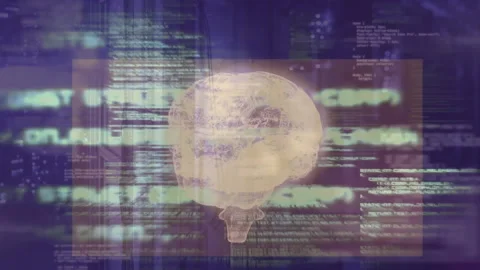 Translucent 3D brain appearing on purple backdrop, streaming code, rotating, Stock Footage 313493075