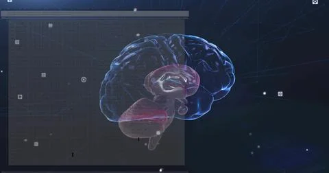 Translucent 3D brain rotating tilting after HUD panel sliding in, revealing Stock Illustration