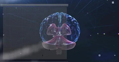 Translucent 3D brain rotating tilting after HUD panel sliding in, revealing Stock Illustration