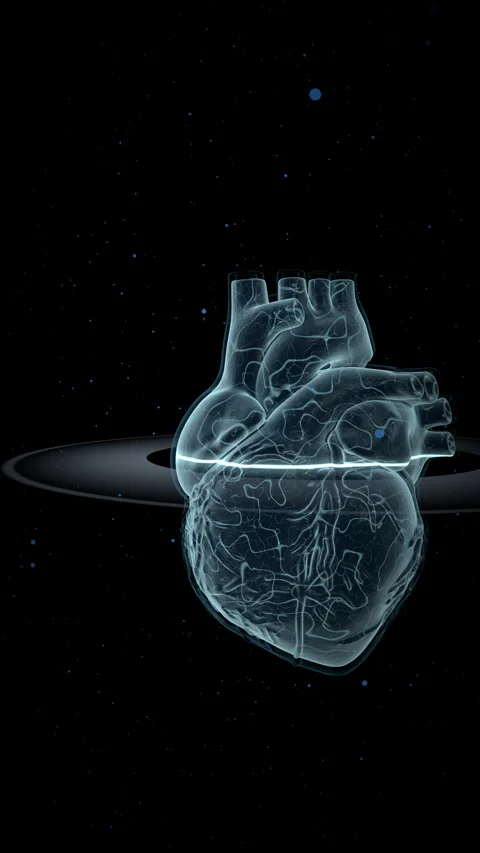 Translucent Anatomical Heart Model, Vertical Video 9:16 4K Stock Footage 336363250