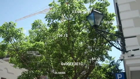 Translucent AR overlay appearing, canopy nodes shifting and rotating to map Stockbeeldmateriaal 333911243
