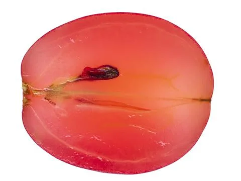Translucent backlit red grape cross-section slice isolated on white backgroun Stock Photos