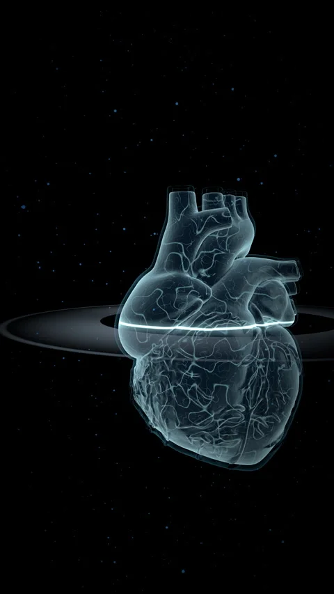Translucent Cardiovascular Model, Vertical Video 9:16 4K Video stock 336363104