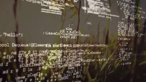 Translucent code block floating and moving across low field blades at plant Stock Footage 332428783