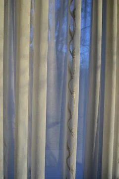 Translucent curtains behind which the sky and trees Foto stock