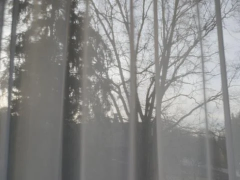 Translucent curtains behind which the sky and trees Stock Photos