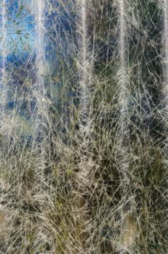 Translucent fiberglass panel for background Foto stock
