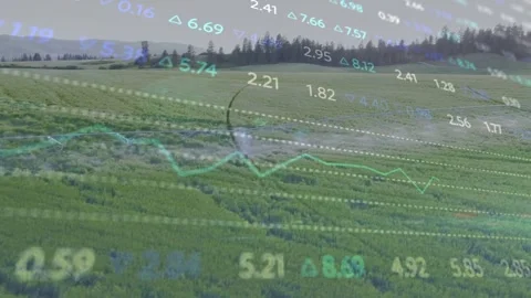Translucent financial data over rolling meadow, camera movement causing numbers Stock Footage 333210689