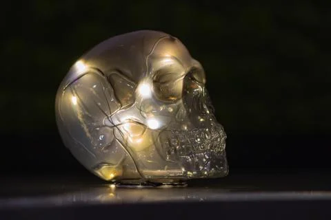 Translucent floating skull illuminated from within, casting light and shado.. Stock Photos