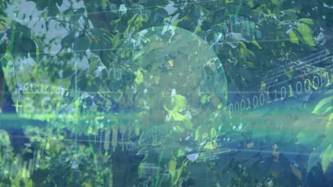 Translucent globe floating over forest canopy, blending with binary code, neon Stock Footage 307884821
