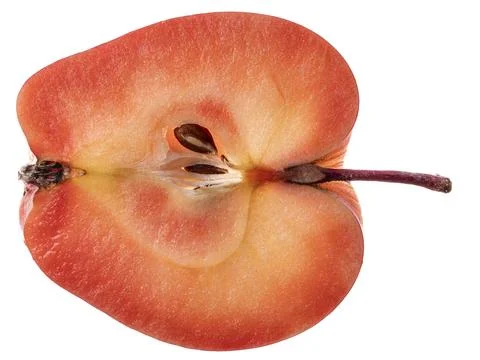 Translucent half slice of red-fleshed apple with stem on white background Foto stock