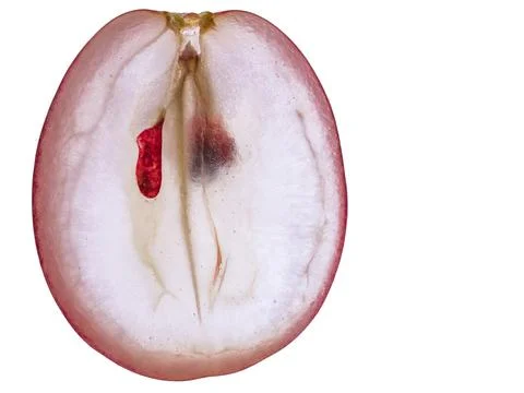 Translucent half slice of red grape isolated on white background Foto stock