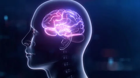 Translucent human head with glowing intricate neon-pink brain Stock Footage 312895820