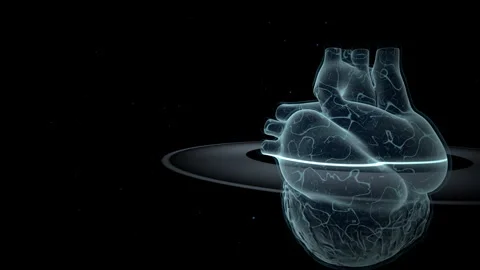Translucent Human Heart 360 Loop, 4K ProRes Stock Footage 336363255