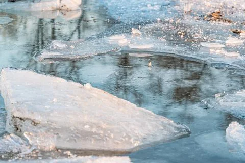 Translucent ice pieces floating on calm water, each with embedded debris and  Stock Photos