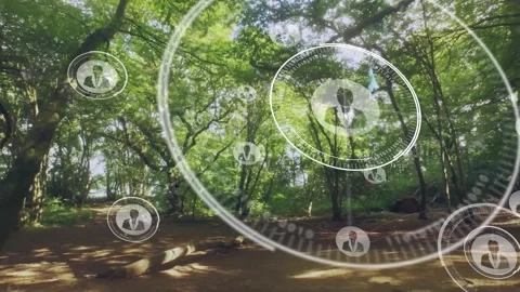 Translucent network graphics animating over woodland clearing with binary rings Video stock 330776657