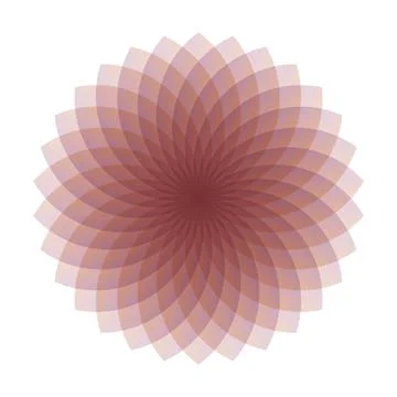 Translucent Pink Petal Mandala Stock Illustration