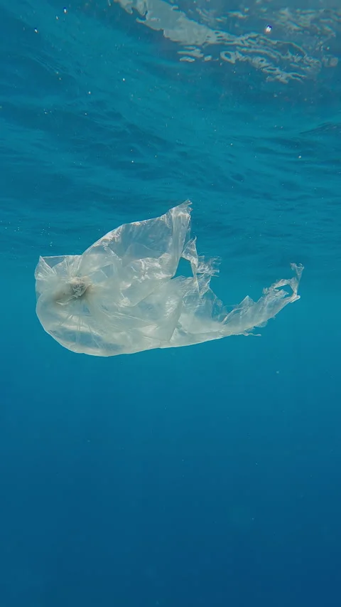 Translucent plastic bag swims under surface of turquoise water reflecting in it Stock Footage 302760822