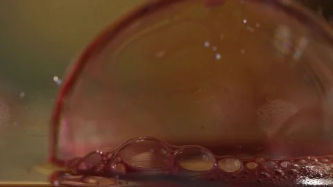 Translucent Red Bubble Closeup Stock Footage 75559184