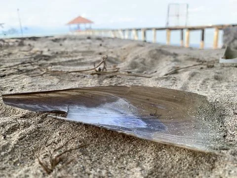 Translucent Shell Fragment on Sandy Beach at Tanjung Lesung Beach Stock Photos