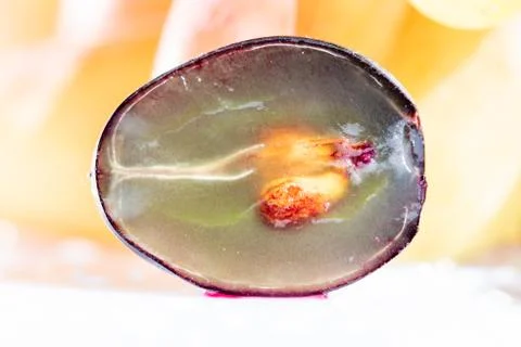 Translucent slice of dark blue grape with seeds Stock Photos