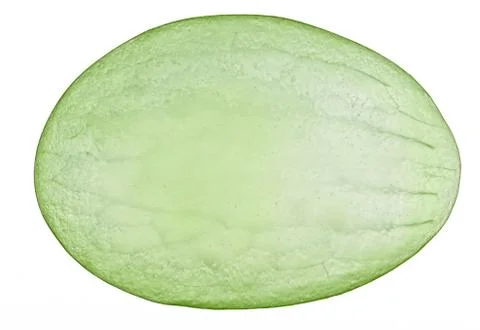 Translucent slice of green grape fruit, macro isolated on white Stock Photos