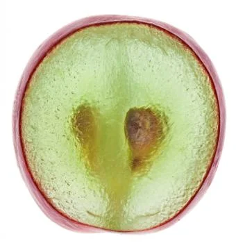 Translucent slice of red grape fruit, macro isolated on white Foto stock