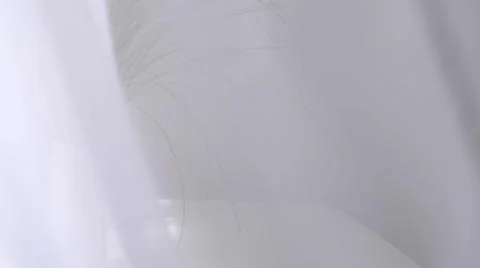 Translucent white curtains develop, defocus soft background. abstract background Stock Photos