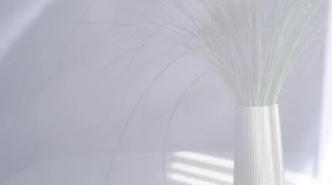 Translucent white curtains develop, defocus soft background. abstract background Stock Photos