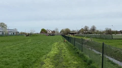 Transmission lines extending across green Dutch farmland with livestock, cr.. Stock-Footage 334078877
