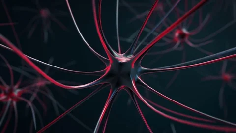 Transmission of a nerve impulse within t... | Stock Video | Pond5