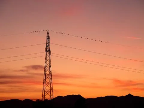 Transmission power at sunset with birds on wires Stock Photos