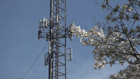 Transmission Tower Video stock 107500196
