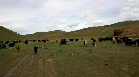 The transmongolian highway 스톡 동영상 517096