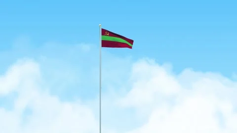Transnistria Flag 3D Render Animation Waving on Pole with Blue Sky Video stock 333013970