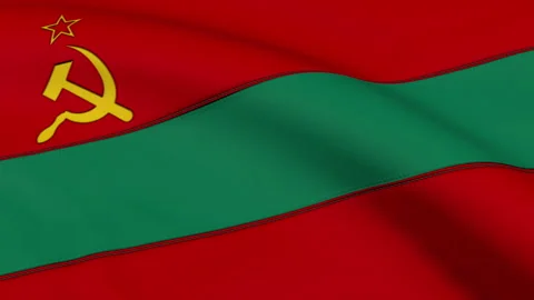 Transnistria Flag Loop Video stock 241223067