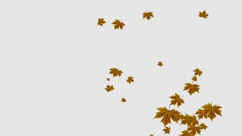 Transparency (6) 스톡 동영상 321006526