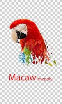 Transparency image Polygon Graphics Red and green color macaw parrot illust.. Illustrazione stock