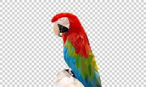 Transparency image Polygon Graphics Red and green color macaw parrot illust.. 스톡 일러스트
