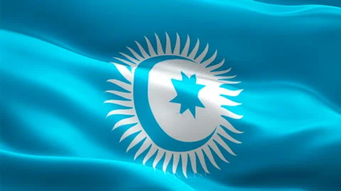 Transparency International flag. 3d TI logo waving video. Logo of Transparency Stock Footage 169989075