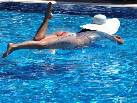 Transparency Stock Photos