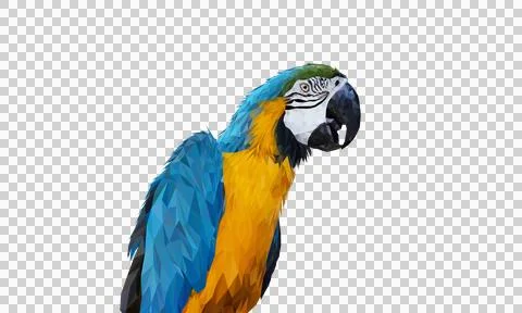 Transparency Polygon Graphics Blue and yellow macaw parrot illustration Stock Illustration