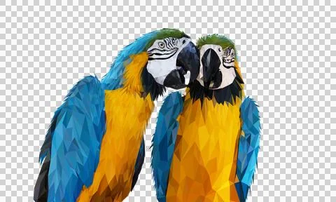 Transparency Polygon Graphics Blue and yellow two macaw parrot illustration Illustrazione stock